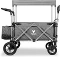 FUXTEC FX-CTL900 Premium szary, oryginalny wózek składany dla dzieci, idealny do ogrodu, na plażę lub do miasta, pchanie lub ciągnięcie, obciążenie do 75 kg.