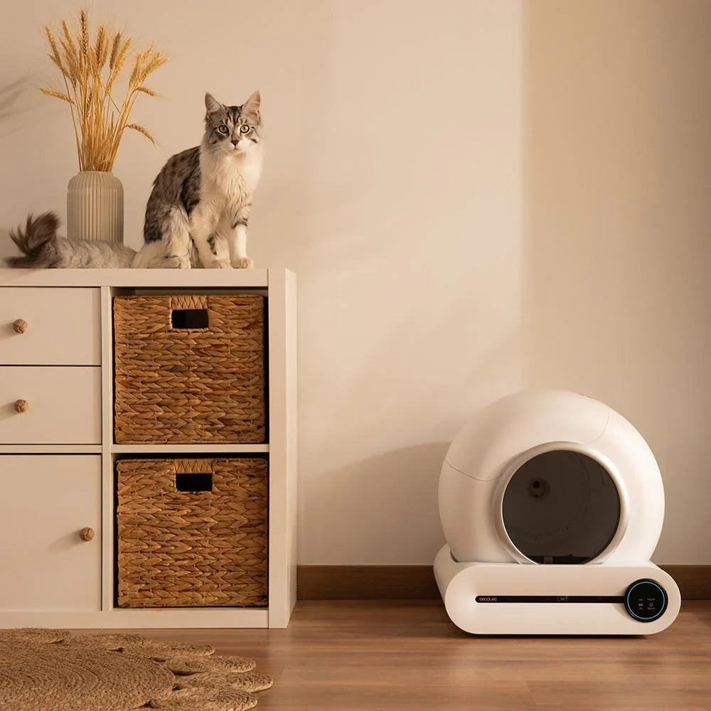 Pumba 8000 CleanKitty Smart
