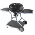 Bärbar Grill Fieldmann FZG 1014 Metall Stål