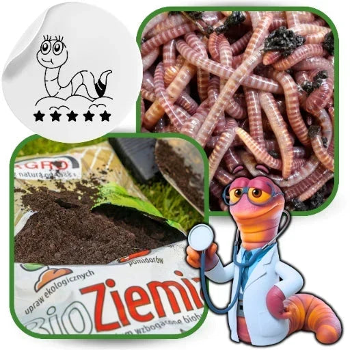 BIO Ziemia ogrodowa Kompost 1050L do pomidorów, warzyw, rozsad PALETA